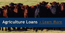 Agriculture Loans, Learn More